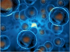 Stem cell science, Saving cells for life